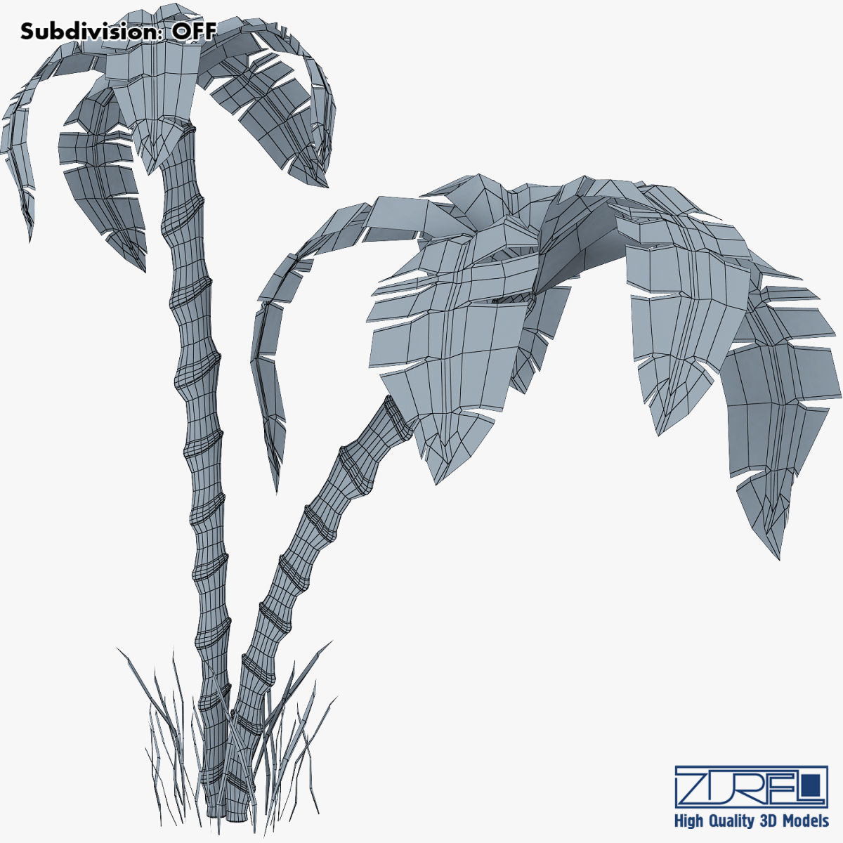 Palm tree v 3 3D model_14