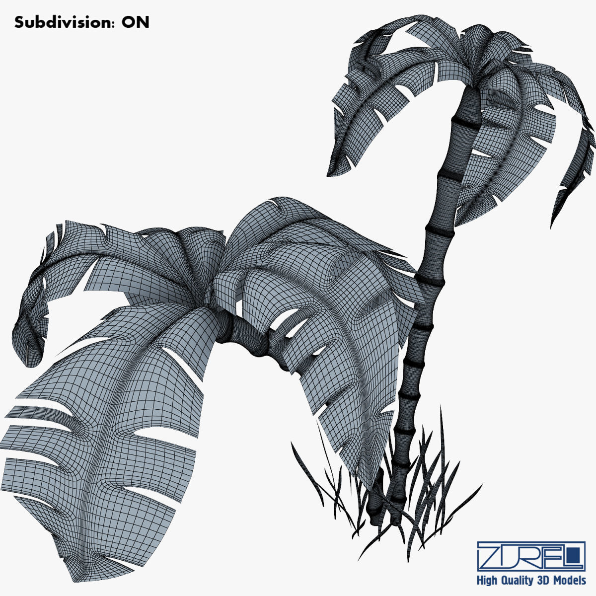 Palm tree v 3 3D model_17