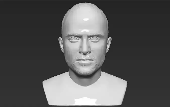Jesse Pinkman Breaking Bad bust 3D printing ready stl obj  3D print model