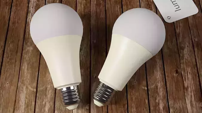 Bulb product 