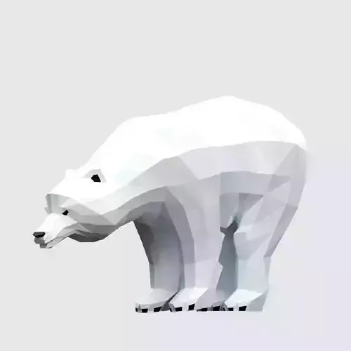 Polar Bear