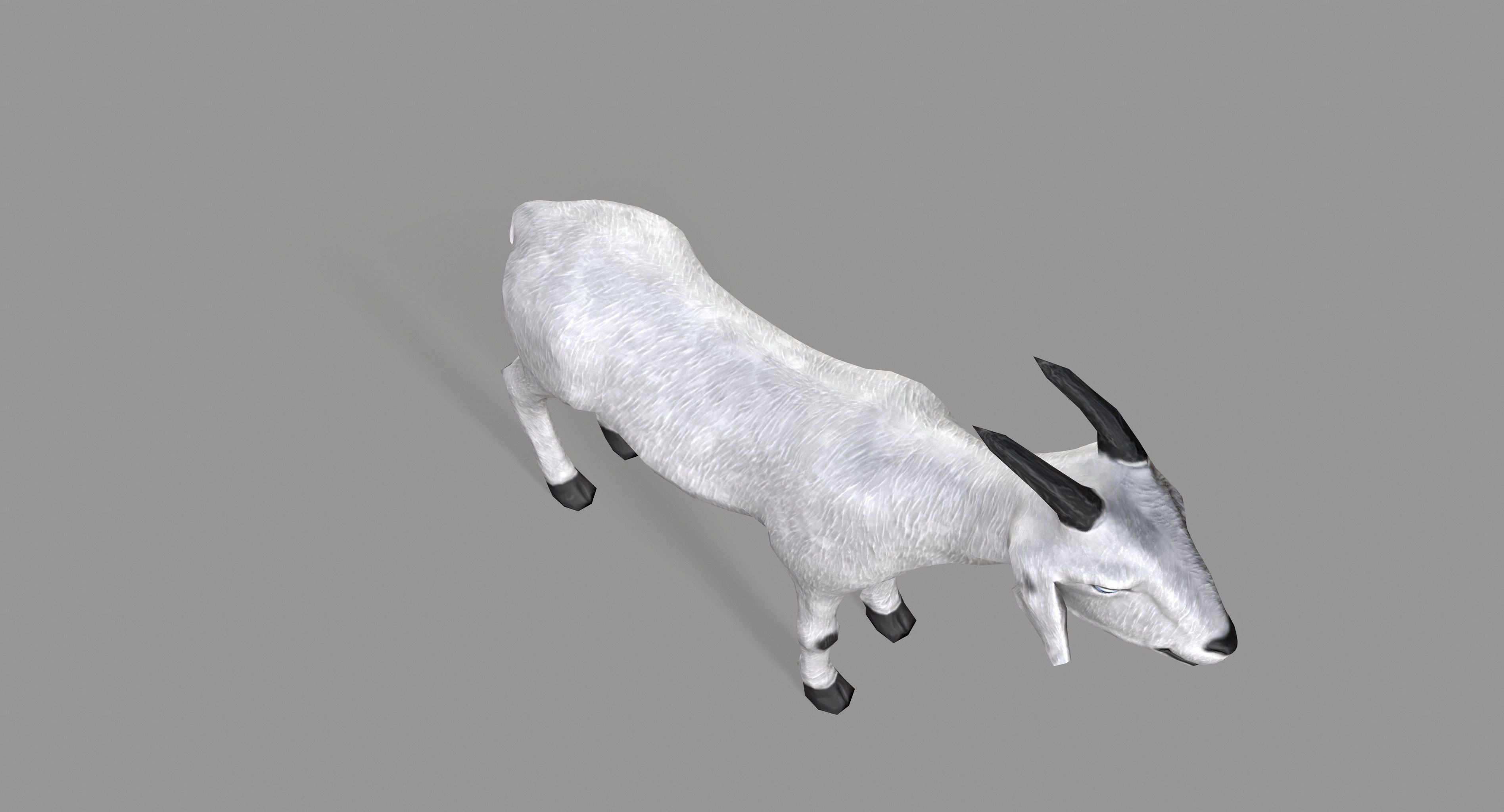White Goat Low-poly 3D model_10