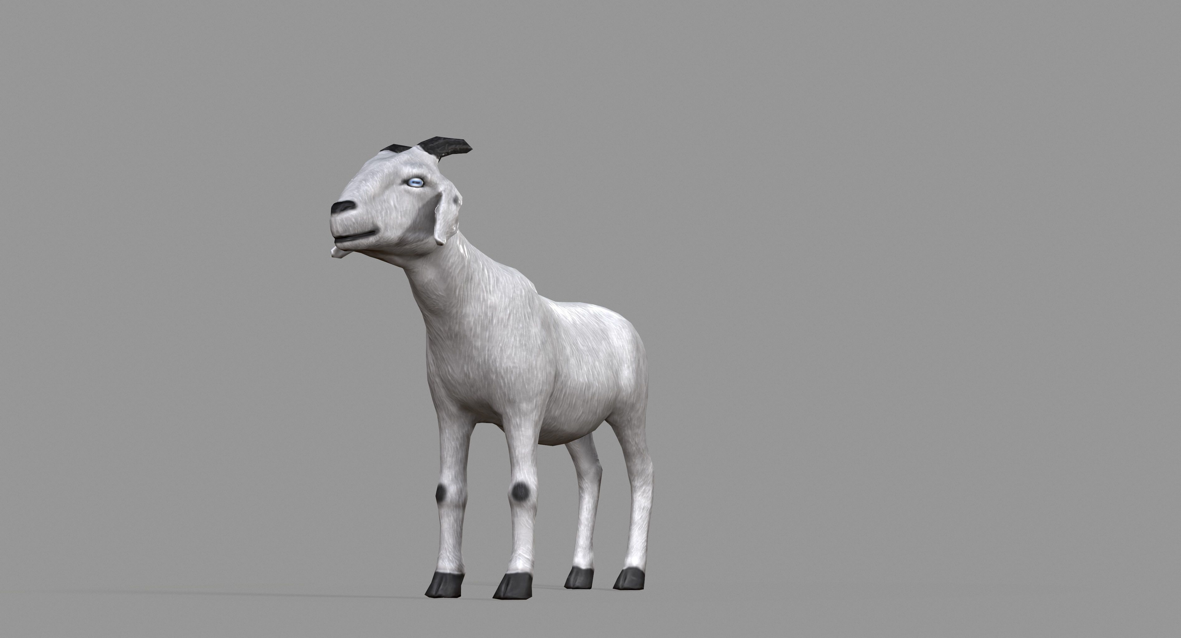 White Goat Low-poly 3D model_23