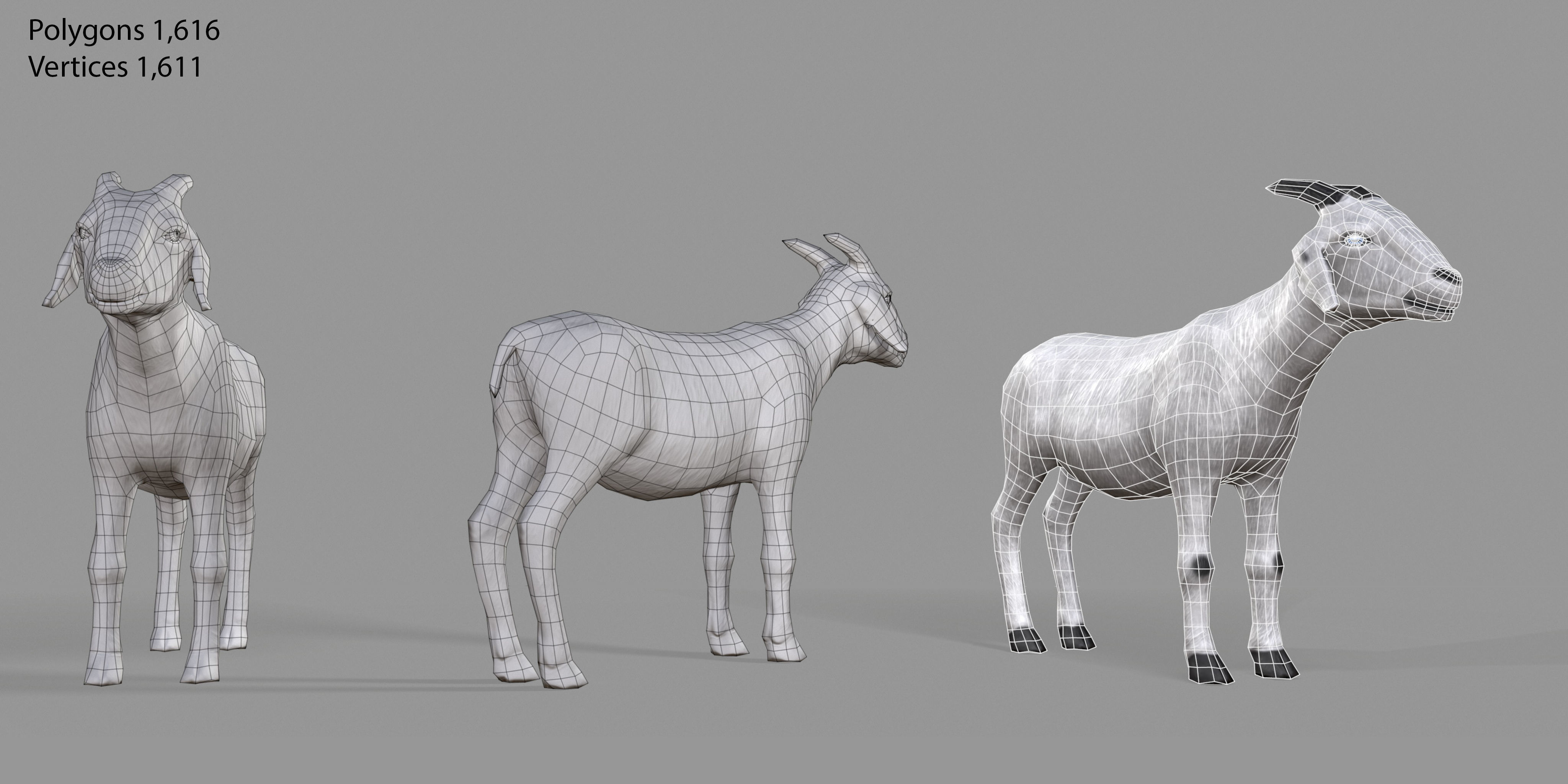 White Goat Low-poly 3D model_27