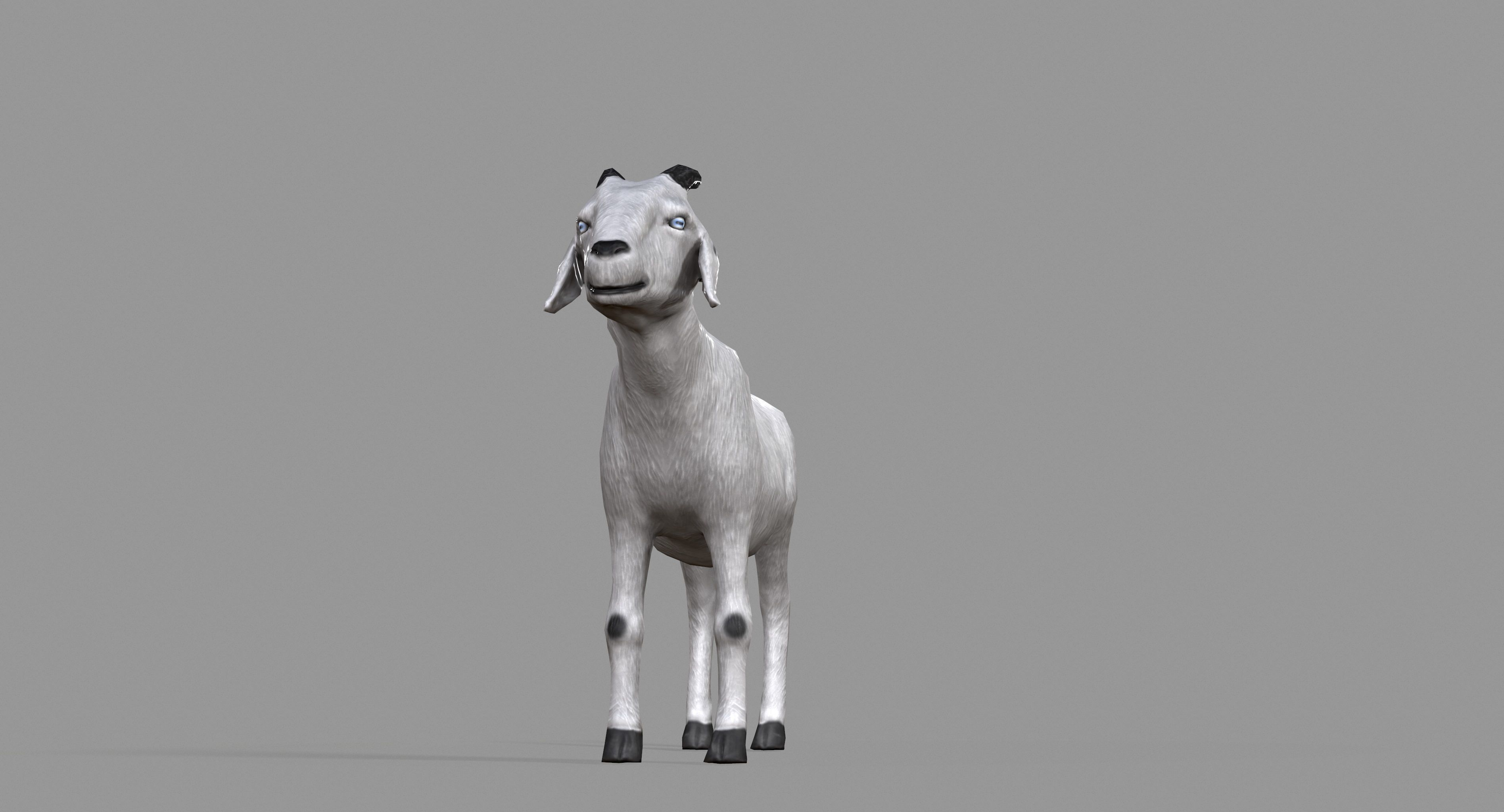 White Goat Low-poly 3D model_24