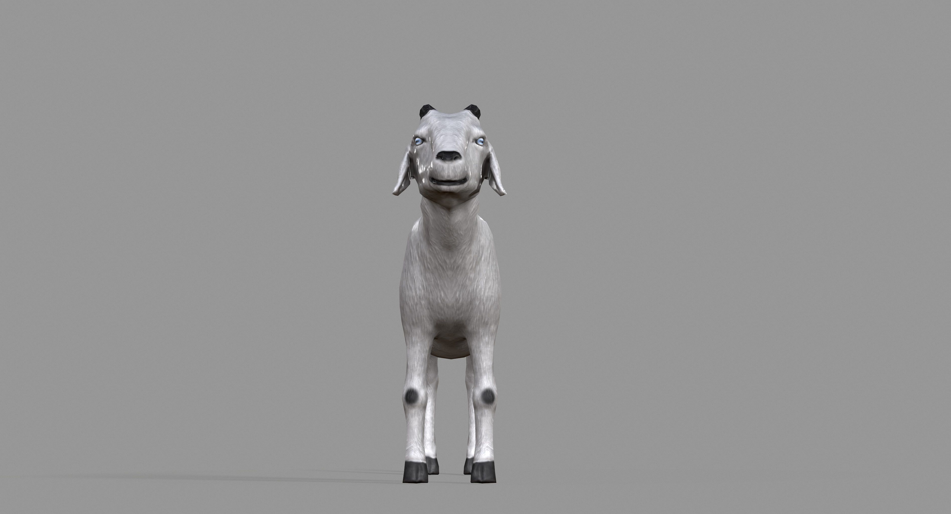 White Goat Low-poly 3D model_15