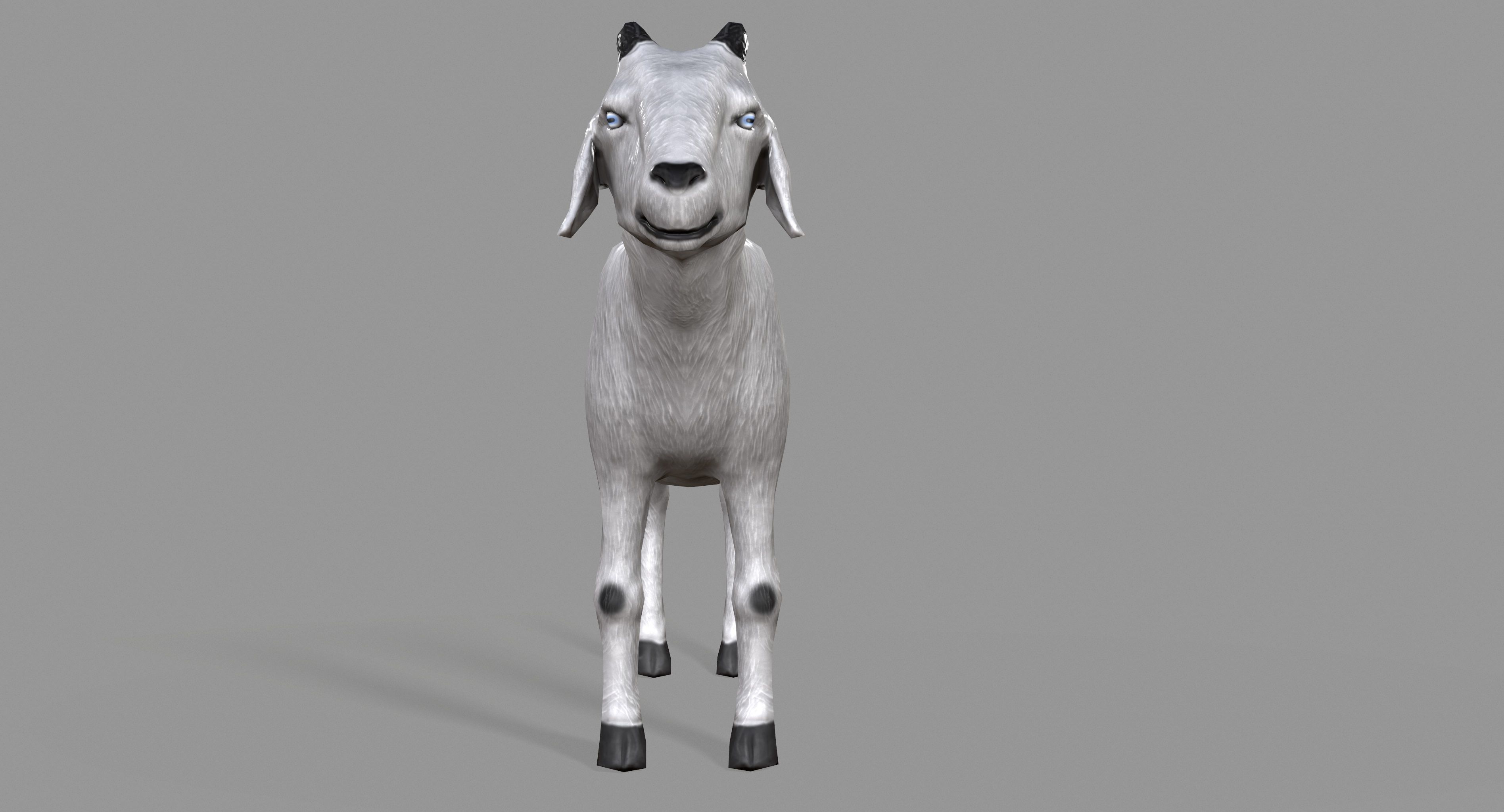 White Goat Low-poly 3D model_1