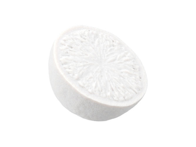 Photorealistic Lime Half 3D Scan 2 3D model 7