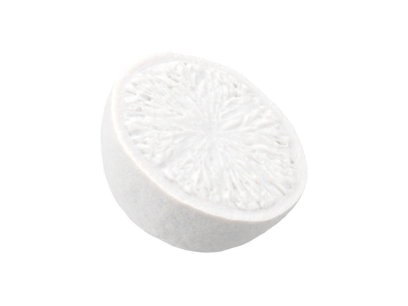 Photorealistic Lime Half 3D Scan 2 3D model_6
