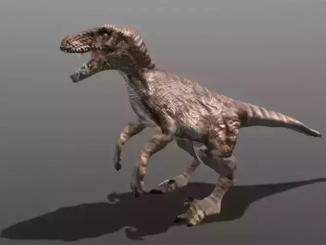 Velociraptor 3d model dinosaur Low-poly 3D model