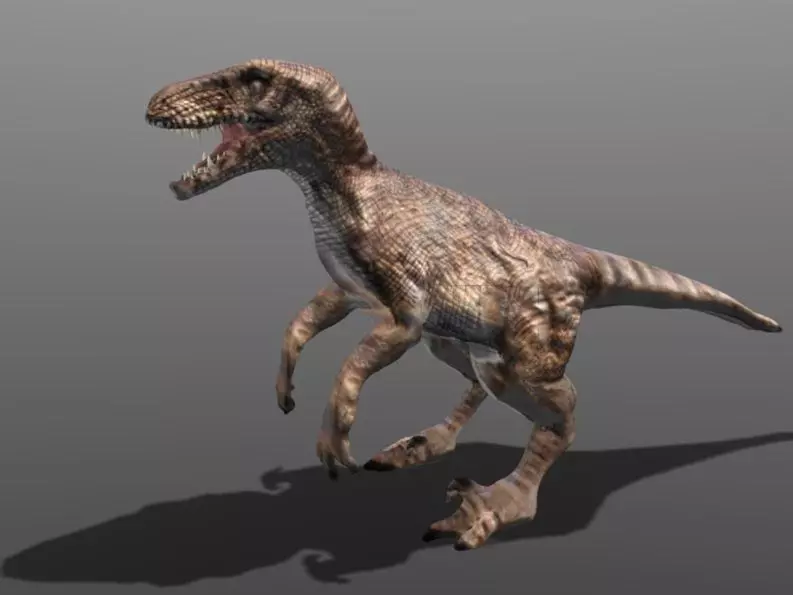 Velociraptor 3d model dinosaur Low-poly 3D model_0
