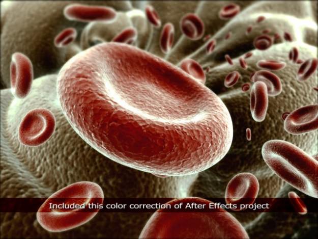 Red Blood Cells Animated 3D model_5