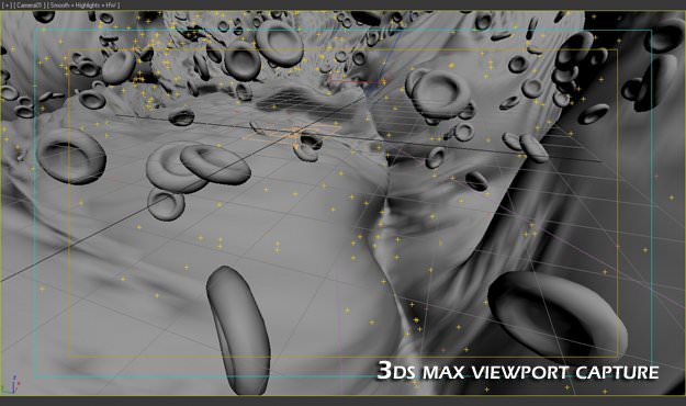 Red Blood Cells Animated 3D model_12