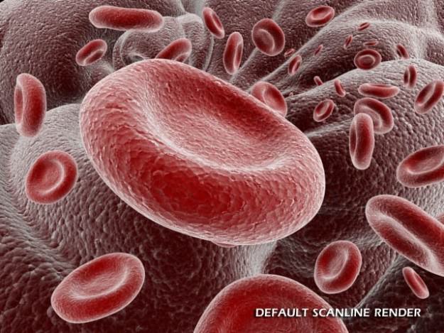 Red Blood Cells Animated 3D model_7