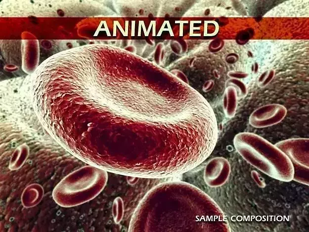 Red Blood Cells Animated 3D model