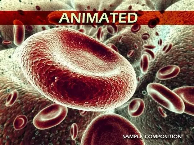 Red Blood Cells Animated 3D model_0