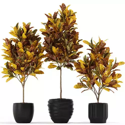 Plants collection 120