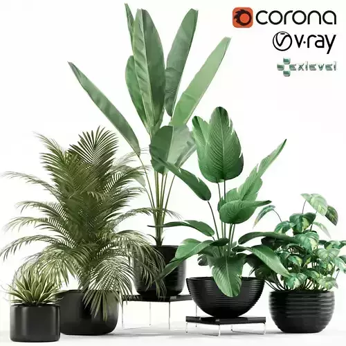 Plants collection 119 Growfx 3D model