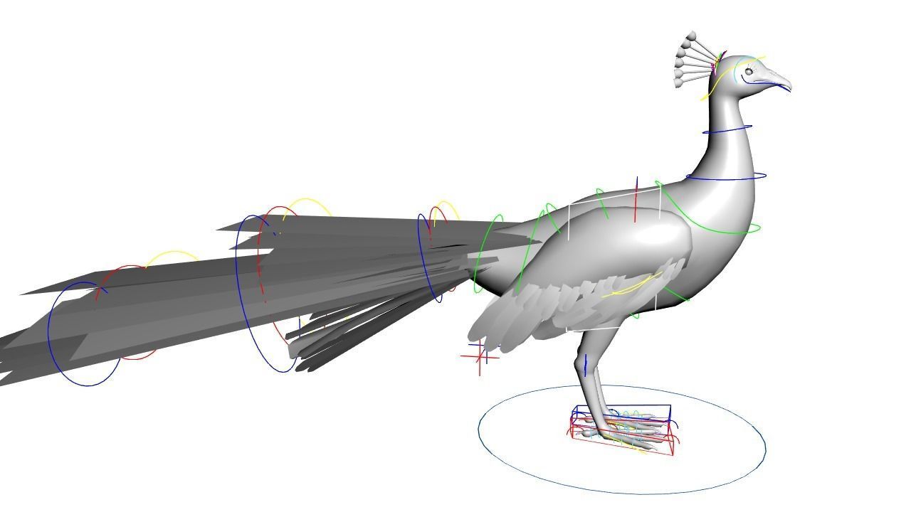 Peacock Rig Low-poly 3D model_3
