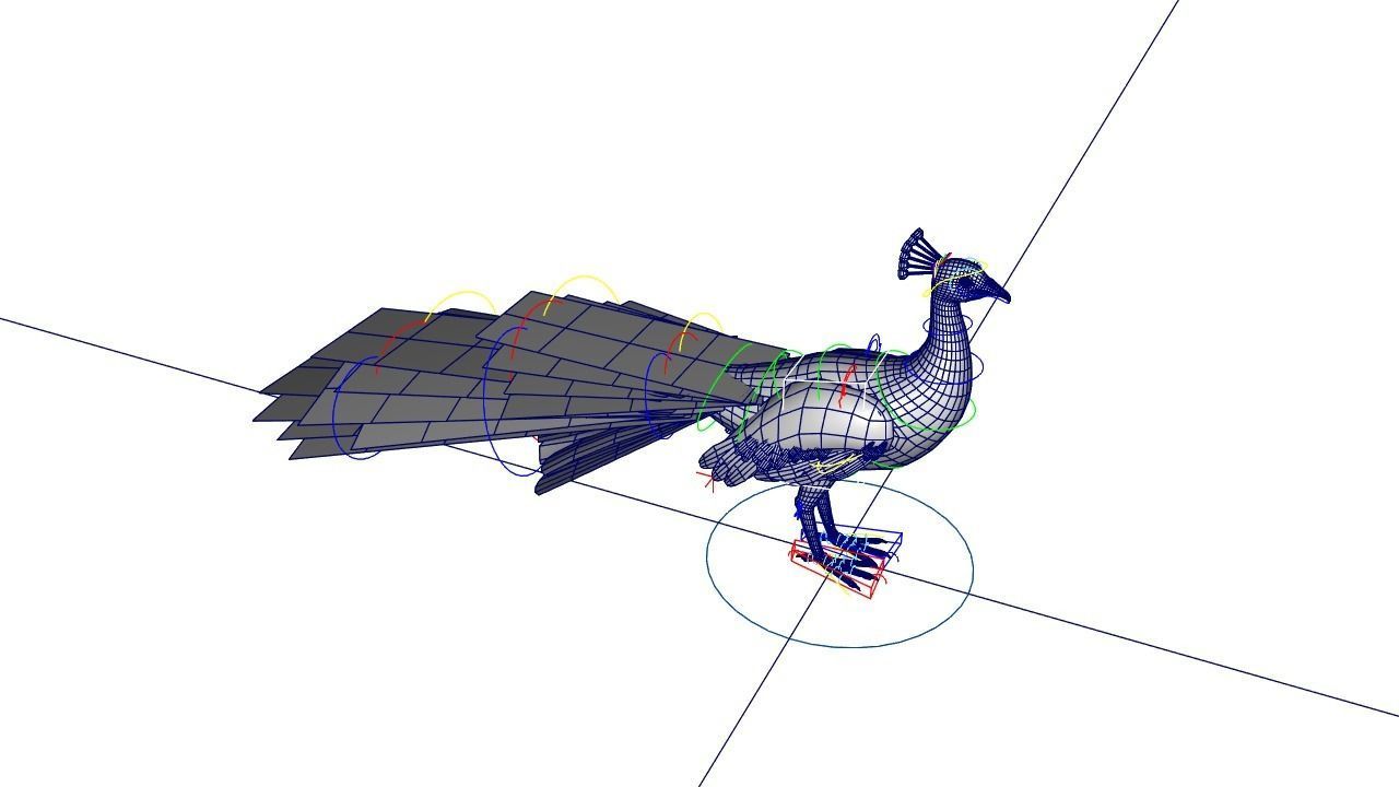 Peacock Rig Low-poly 3D model_4
