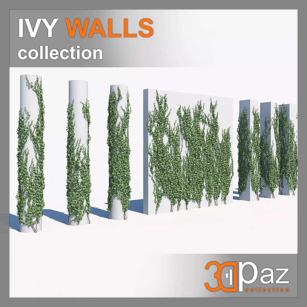Ivy set 01 3D model