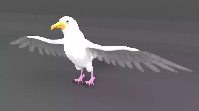 Seagull with wings spread