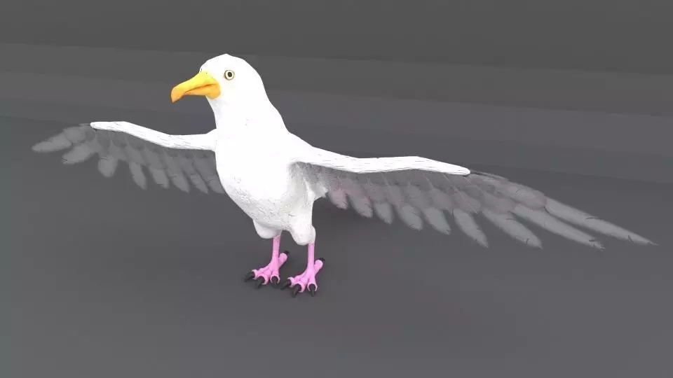 Seagull with wings spread Low-poly 3D model_0