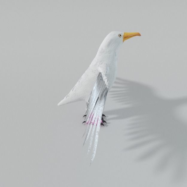 Seagull with wings spread Low-poly 3D model_5