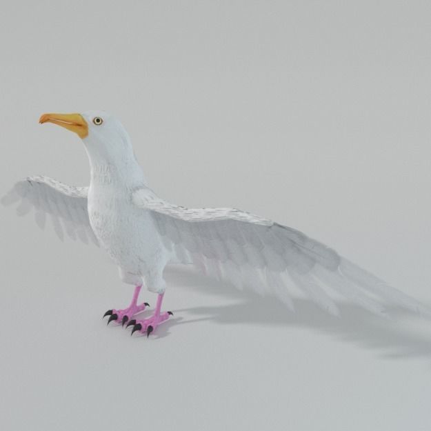 Seagull with wings spread Low-poly 3D model_1