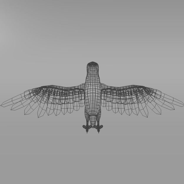 Seagull with wings spread Low-poly 3D model_3