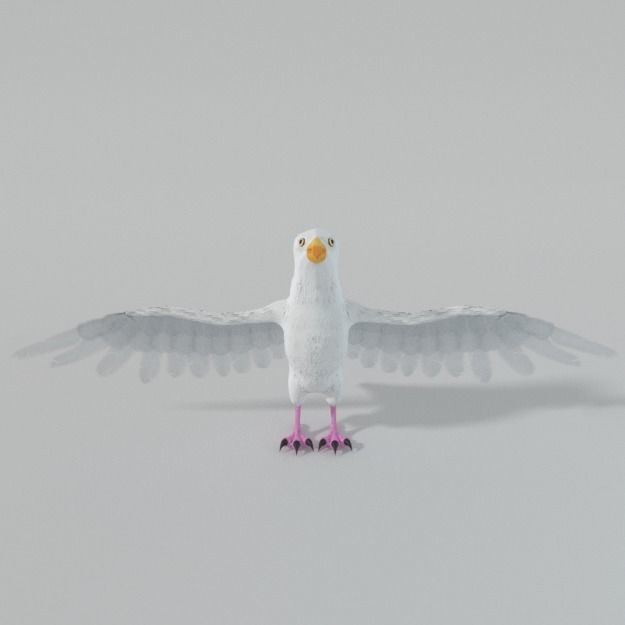 Seagull with wings spread Low-poly 3D model_2