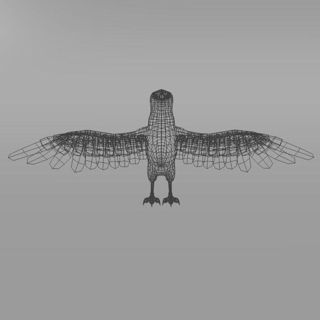 Seagull with wings spread Low-poly 3D model_7