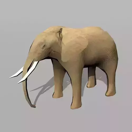 elephant with long tusks Low-poly 3D model