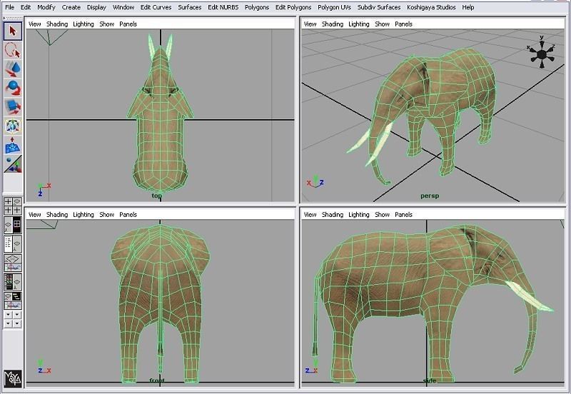 elephant with long tusks Low-poly 3D model_4