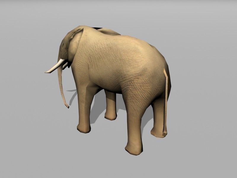 elephant with long tusks Low-poly 3D model_2