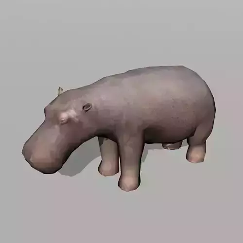 hippopotamus hippo