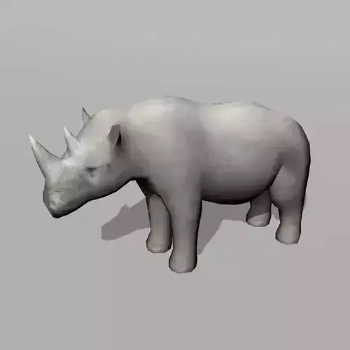 rhinoceros rhino