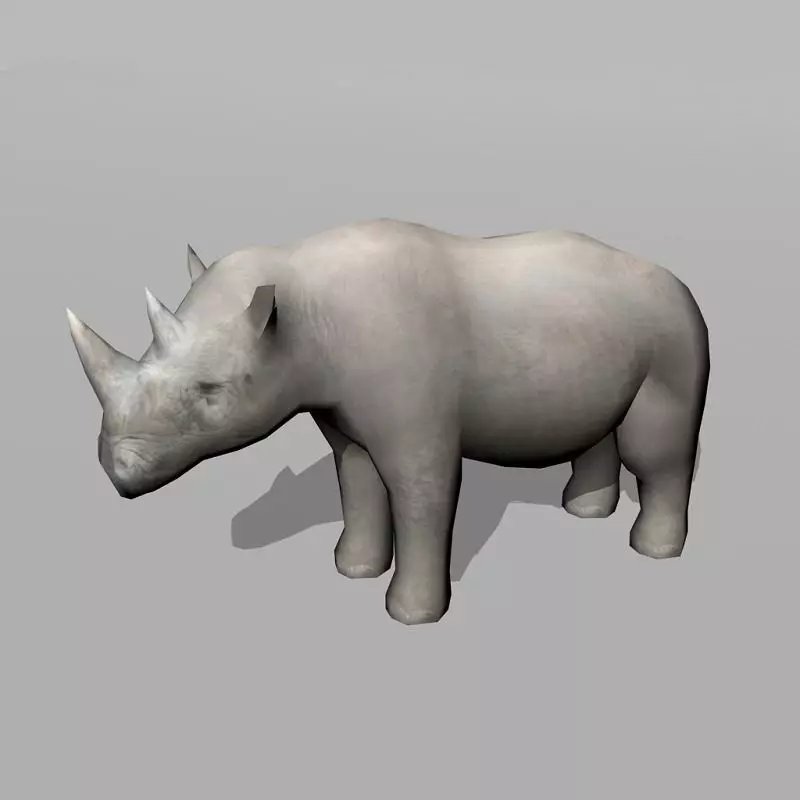 rhinoceros rhino Low-poly 3D model_0