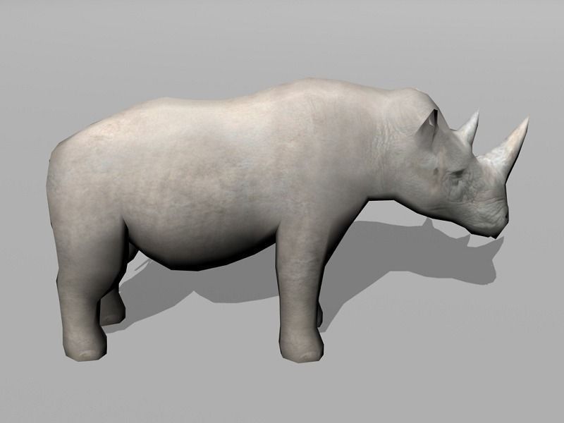 rhinoceros rhino Low-poly 3D model_1