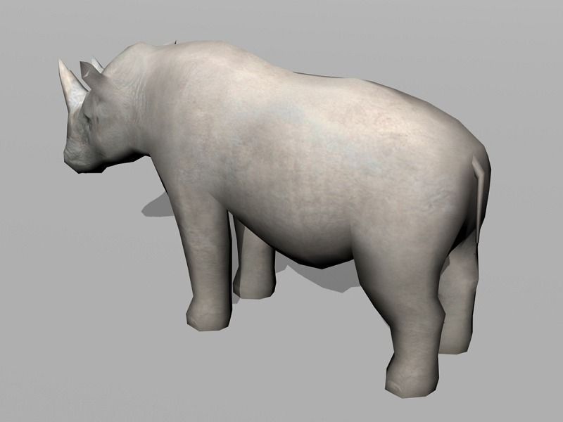 rhinoceros rhino Low-poly 3D model_2