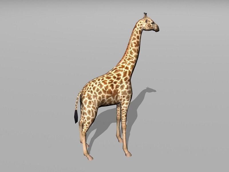 giraffe Low-poly 3D model_1