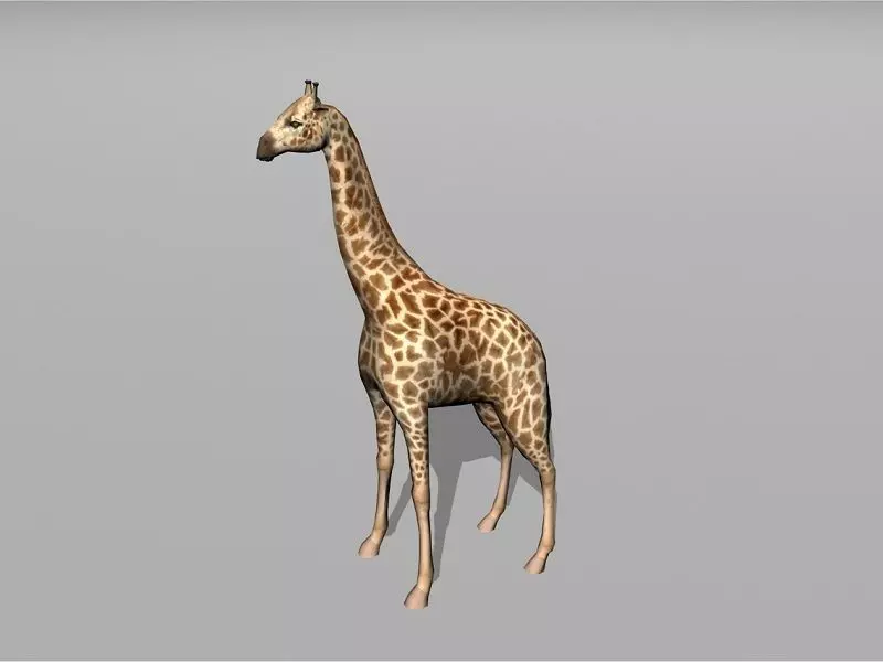 giraffe Low-poly 3D model_0