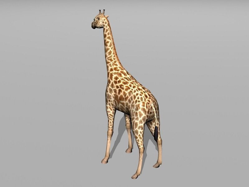 giraffe Low-poly 3D model_2