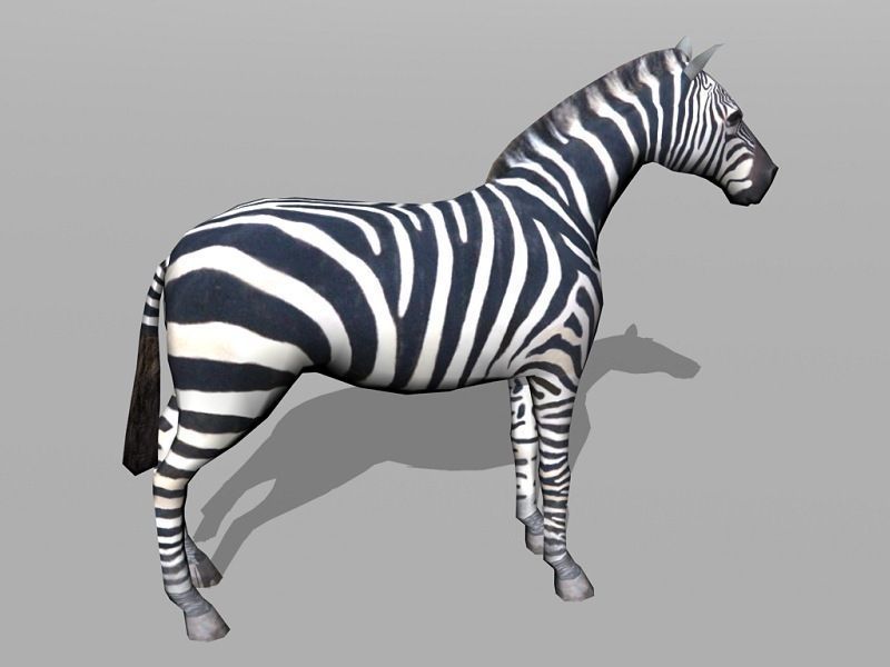 zebra Low-poly 3D model_1
