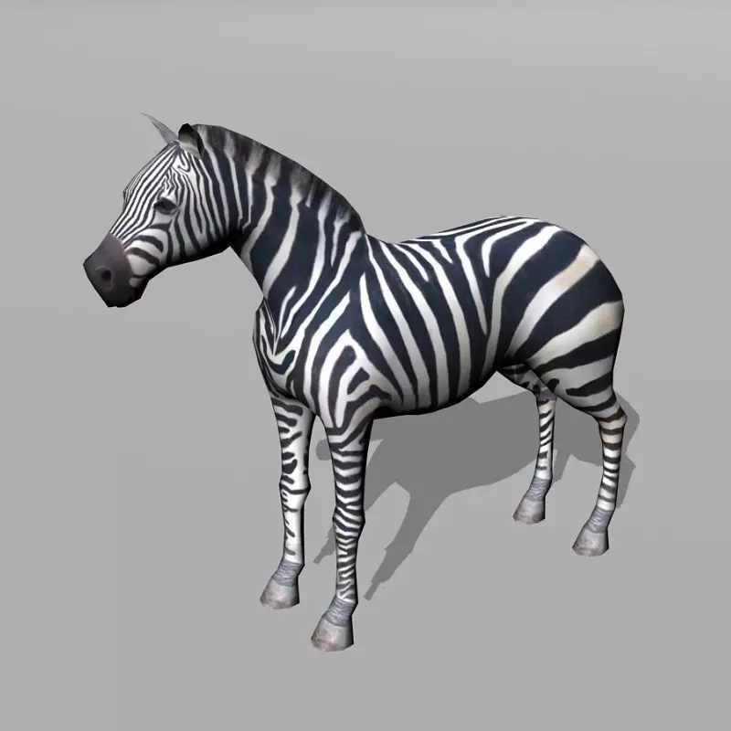 zebra Low-poly 3D model_0