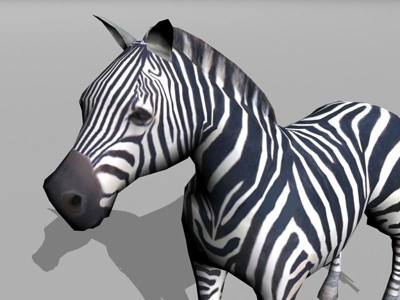 zebra Low-poly 3D model_3
