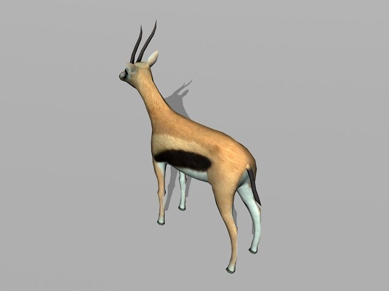 gazelle Low-poly 3D model_2