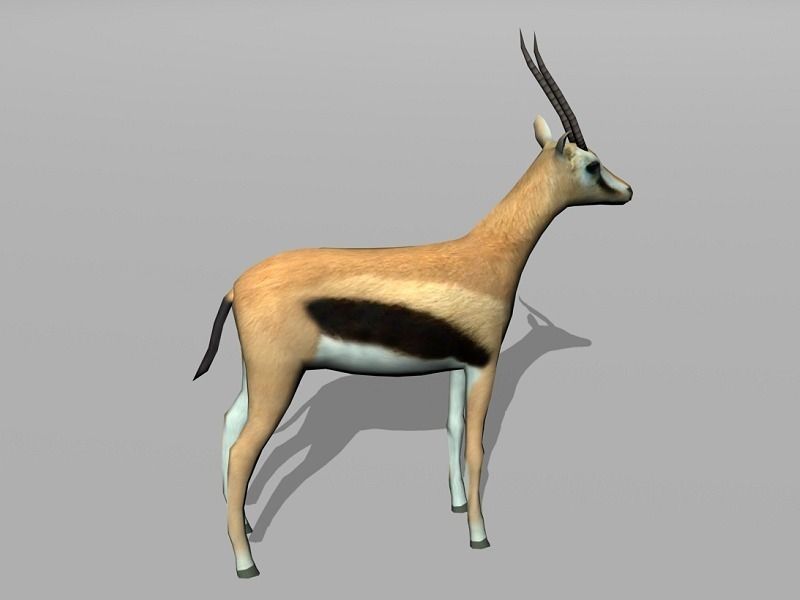 gazelle Low-poly 3D model_1