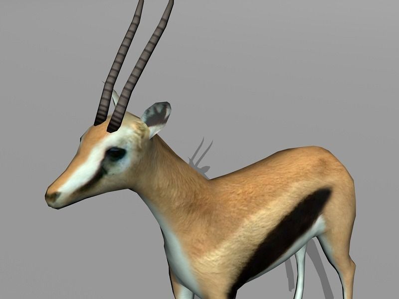 gazelle Low-poly 3D model_3