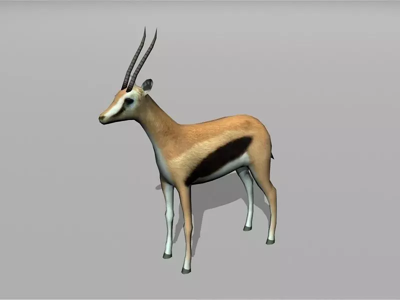 gazelle Low-poly 3D model_0